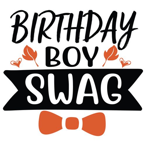 Birthday Boy Swag-01 Poster Canvas Movie Film Print A0 A1 A2 A3 A4 A5 A6 Art Wal