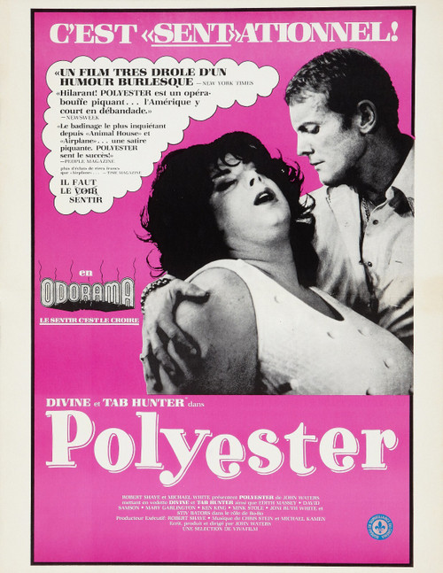 Polyester (1981)_4 Poster Canvas Movie Film Print A0 A1 A2 A3 A4 A5 A6 Art Wall