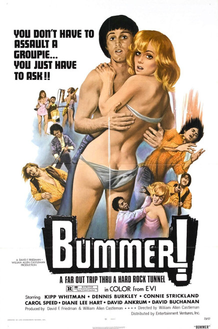 Bummer (1973)_0 Movie Film Poster Canvas iconic design