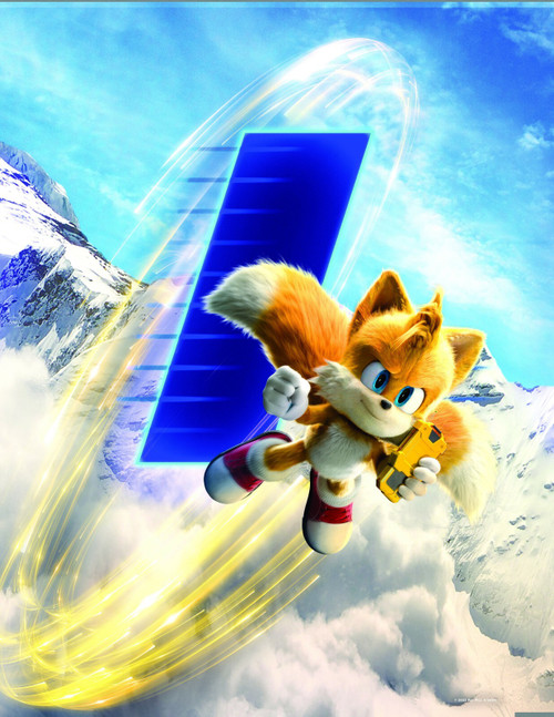 Sonic the Hedgehog 2 (2022)_32 Poster Canvas Movie Film Print A0 A1 A2 A3 A4 A5