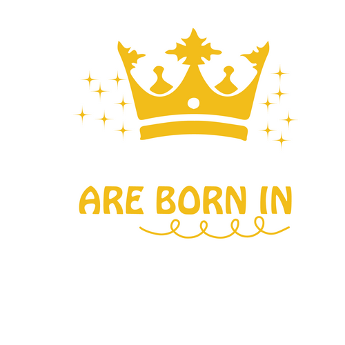 princesses are born in January-01 Funny Creative Poster Canvas Movie Film Print