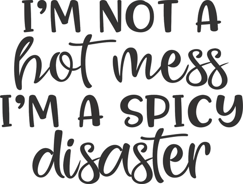 Im not a hot mess (2) Funny Poster Creative Canvas Print A0 A1 A2 A3 A4 A5 A6 Ar