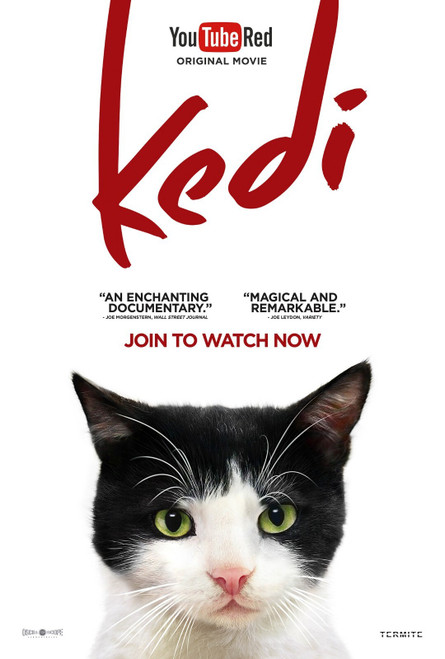 Kedi (2017)_8 Poster Canvas Movie Film Print A0 A1 A2 A3 A4 A5 A6 Art Wall Decor