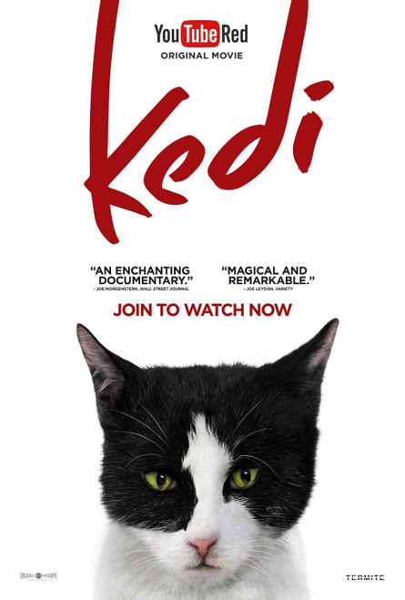 Kedi (2017)_7 Poster Canvas Movie Film Print A0 A1 A2 A3 A4 A5 A6 Art Wall Decor