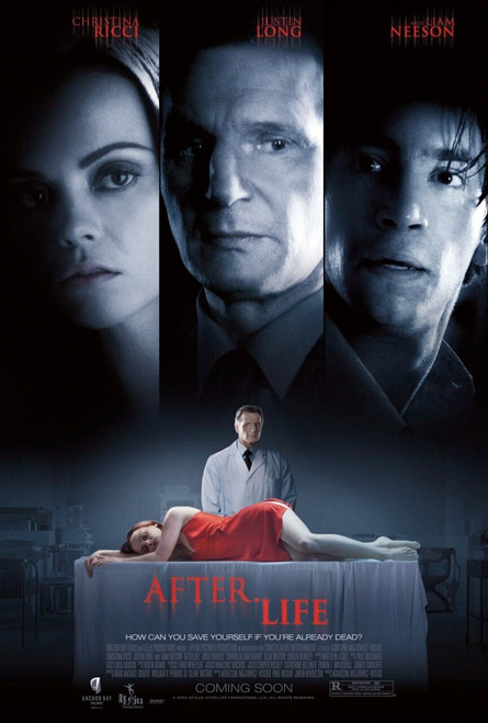 After.Life (2010)_1 Movie Film Poster Canvas iconic design