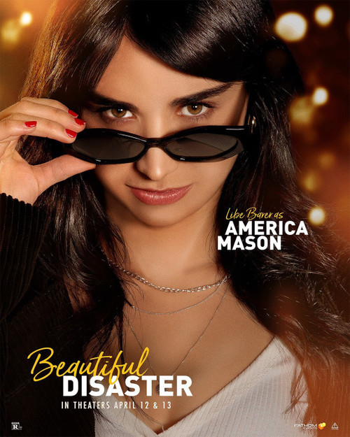 Beautiful Disaster (2023)_8 Movie Film Poster Canvas iconic design