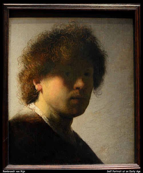 rembrandt-van-rijn---self-portrait-at-an-early-age--jpb_27892548756_o(1) Poster