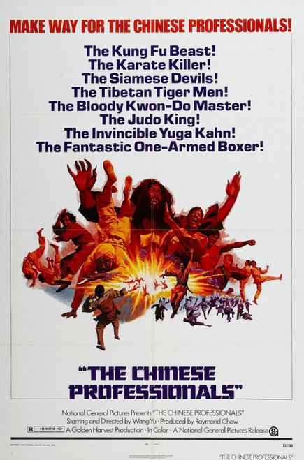 Chinese Professionals 01 Poster Canvas Movie Film Print A0 A1 A2 A3 A4 A5 A6 Art