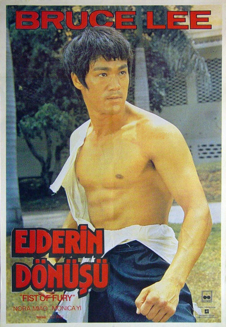 Fist Of Fury 07 Poster Canvas Movie Film Print A0 A1 A2 A3 A4 A5 A6 Art Wall Dec