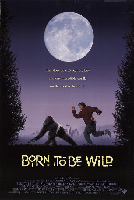 Born To Be Wild (1995)_0 Movie Film Poster Canvas iconic design
