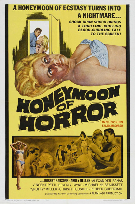 Honeymoon Of Horror 01 Poster Canvas Movie Film Print A0 A1 A2 A3 A4 A5 A6 Art W