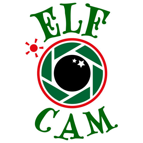 Santa-Cam_11 Poster Canvas Movie Film Print A0 A1 A2 A3 A4 A5 A6 Art Wall Decora