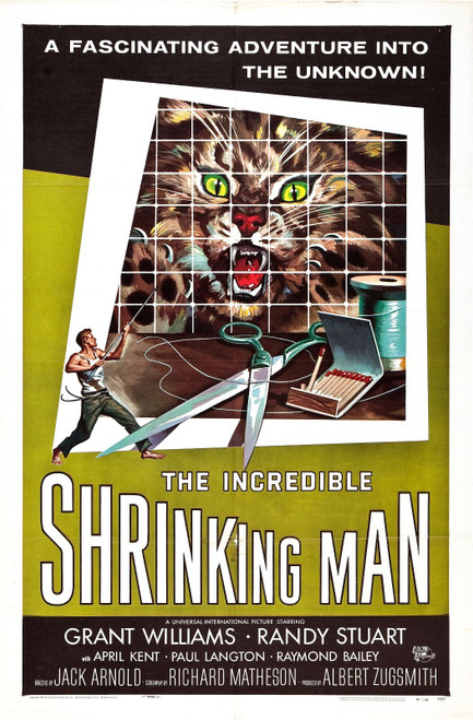 Incredible Shrinking Man 01 Poster Canvas Movie Film Print A0 A1 A2 A3 A4 A5 A6