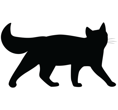 Cat Shillhutte 2-01 (15) Poster Canvas Movie Film Print A0 A1 A2 A3 A4 A5 A6 Art