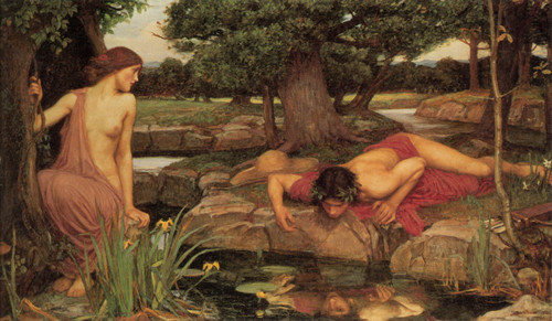 Waterhouse_Echo_and_Narcissus Poster Canvas Movie Film Print A0 A1 A2 A3 A4 A5 A