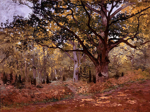 Monet_Bodmer_Oak_by_Monet Poster Canvas Movie Film Print A0 A1 A2 A3 A4 A5 A6 Ar