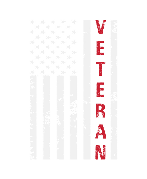 Veteran-04 Poster Canvas Movie Film Print A0 A1 A2 A3 A4 A5 A6 Art Wall Decorati