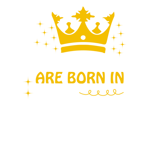 princesses are born in June-01 Funny Creative Poster Canvas Movie Film Print A0