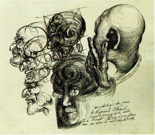 Morphology of skull of Sigmund Freaud Dali