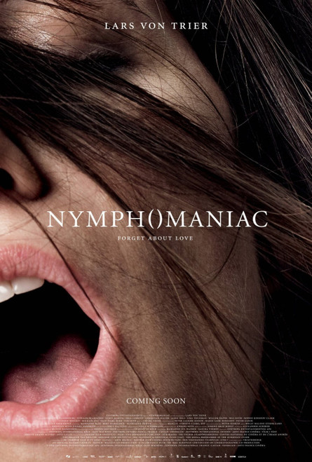 Nymphomaniac (2013)_17 Poster Canvas Movie Film Print A0 A1 A2 A3 A4 A5 A6 Art W