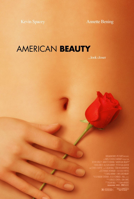 American_beauty Poster Canvas Movie Film Print A0 A1 A2 A3 A4 A5 A6 Art Wall Dec