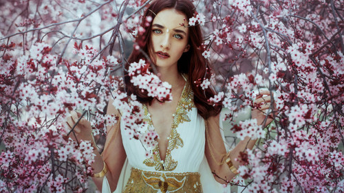 blossom-tree-girl-52-3840x2160 Poster Canvas Movie Film Print A0 A1 A2 A3 A4 A5