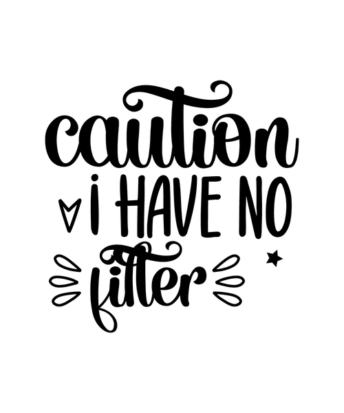 Caution I Have No Filter-01 (22) Poster Canvas Movie Film Print A0 A1 A2 A3 A4 A