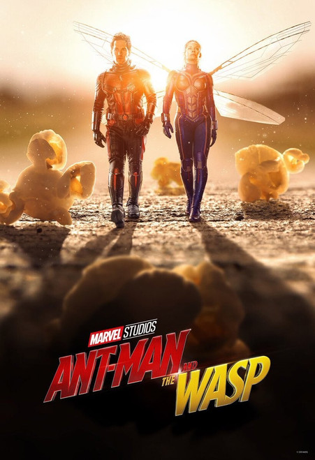Ant-Man and the Wasp (2018)_13 Movie Film Poster Canvas iconic design