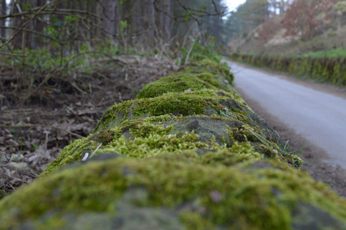 Spring 8 Poster Canvas Movie Film Print A0 A1 A2 A3 A4 A5 A6 Art Wall Decoration