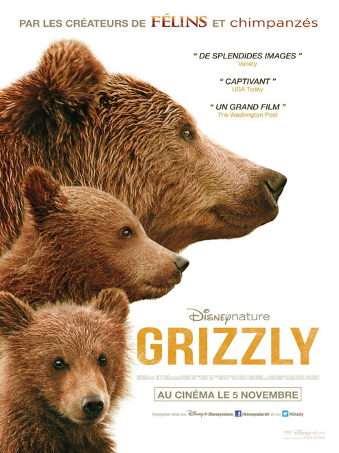 Bears (2014)_3 Movie Film Poster Canvas iconic design