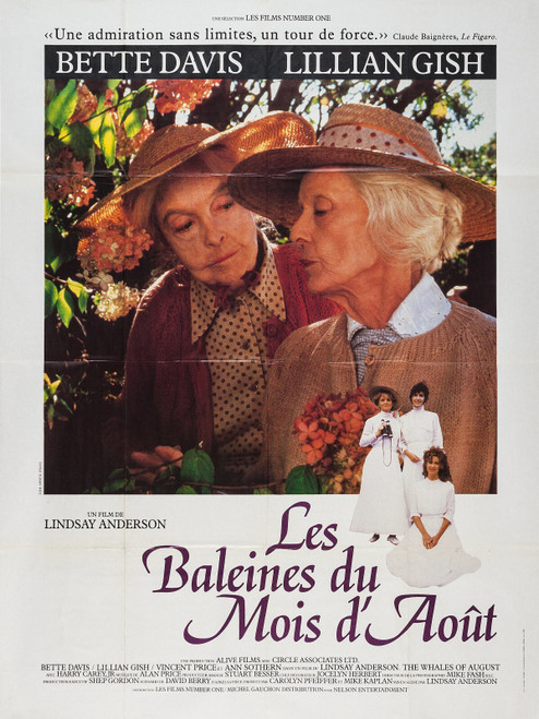 The Whales of August (1987)_3 Poster Canvas Movie Film Print A0 A1 A2 A3 A4 A5 A