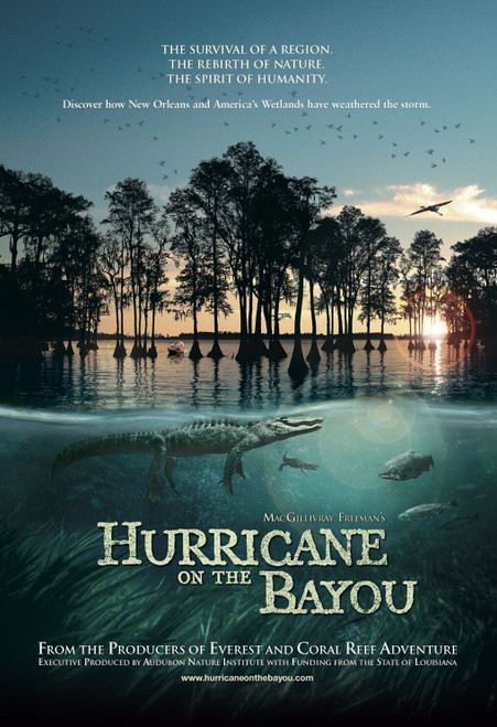 Hurricane on the Bayou (2006)_0 Poster Canvas Movie Film Print A0 A1 A2 A3 A4 A5