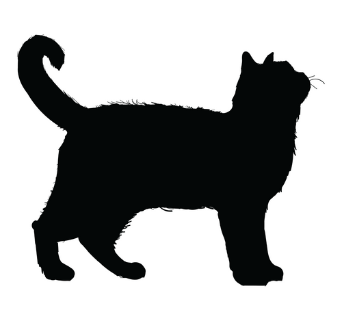 Cat Shillhutte 2-01 (18) Poster Canvas Movie Film Print A0 A1 A2 A3 A4 A5 A6 Art