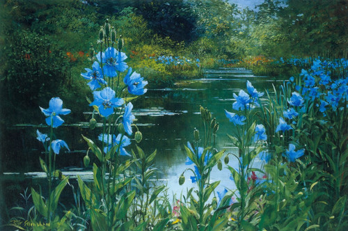 Peter Ellenshaw - Blue Poppies In Buchart Gardens 1990 Poster Canvas Movie Film