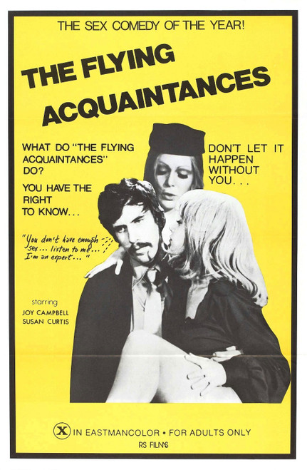 Flying Acquaintances 01 Poster Canvas Movie Film Print A0 A1 A2 A3 A4 A5 A6 Art
