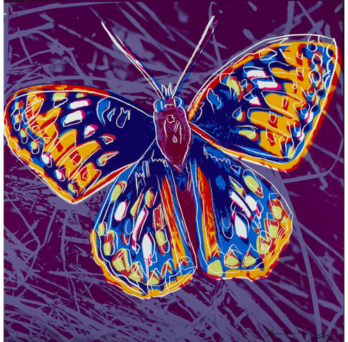 Andy Warhol - San Francisco Silverspot 1983 Poster Canvas Movie Film Print A0 A1