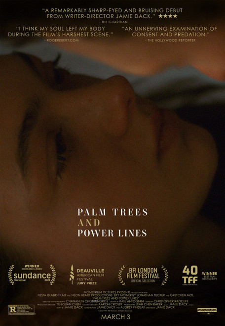 Palm Trees and Power Lines (2023)_2 Poster Canvas Movie Film Print A0 A1 A2 A3 A