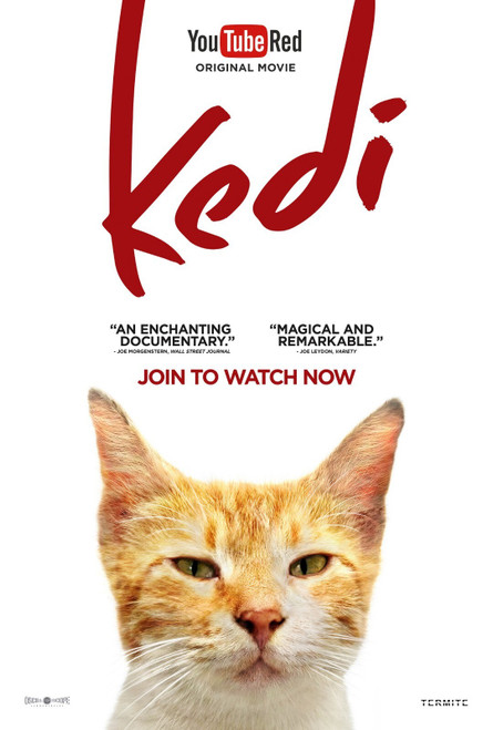 Kedi (2017)_5 Poster Canvas Movie Film Print A0 A1 A2 A3 A4 A5 A6 Art Wall Decor