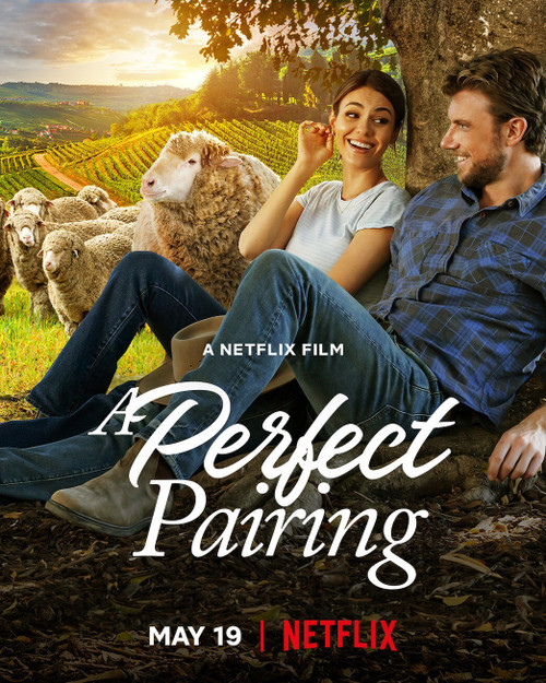 A Perfect Pairing (2022)_0 Movie Film Poster Canvas iconic design