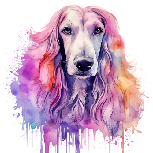 Afghan Hound (2) Poster Canvas Movie Film Print A0 A1 A2 A3 A4 A5 A6 Art Wall De