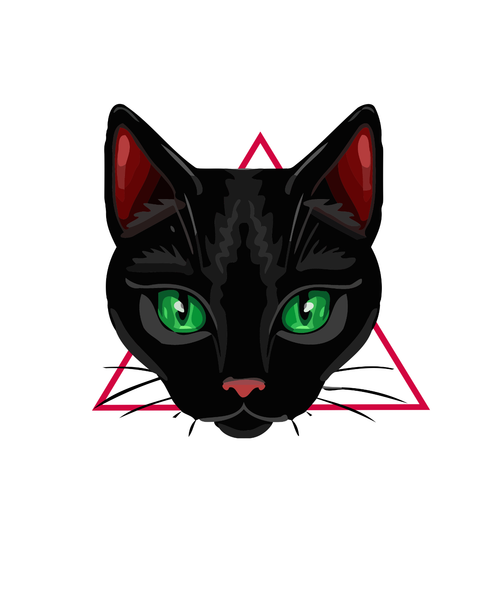 BLACK CAT (2) Poster Canvas Movie Film Print A0 A1 A2 A3 A4 A5 A6 Art Wall Decor