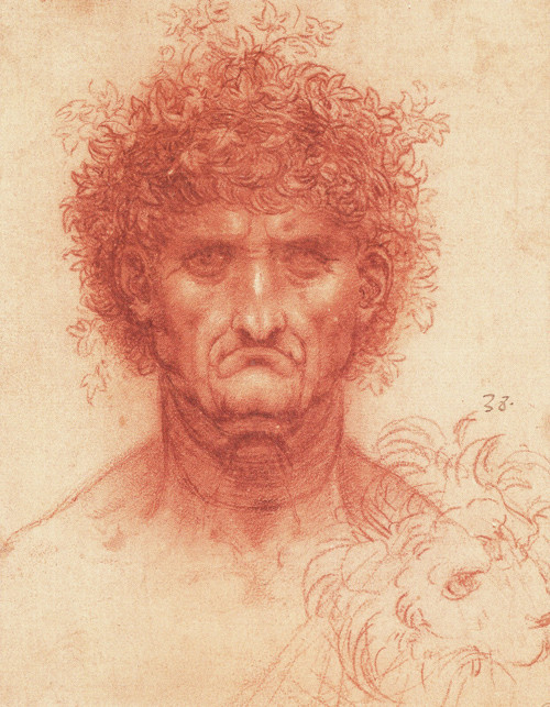 Leonardo da Vinci - Head of a Man and of a Lion Art Gallery Poster Canvas Print