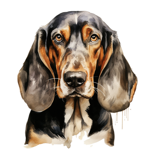 Transylvanian Hound (2) Poster Canvas Movie Film Print A0 A1 A2 A3 A4 A5 A6 Art