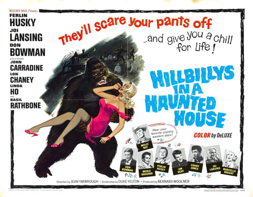 Hillbillys In Haunted House 02 Poster Canvas Movie Film Print A0 A1 A2 A3 A4 A5