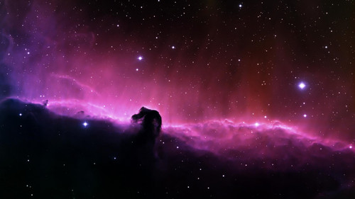 Horsehead Nebula Poster Canvas Movie Film Print A0 A1 A2 A3 A4 A5 A6 Art Wall De