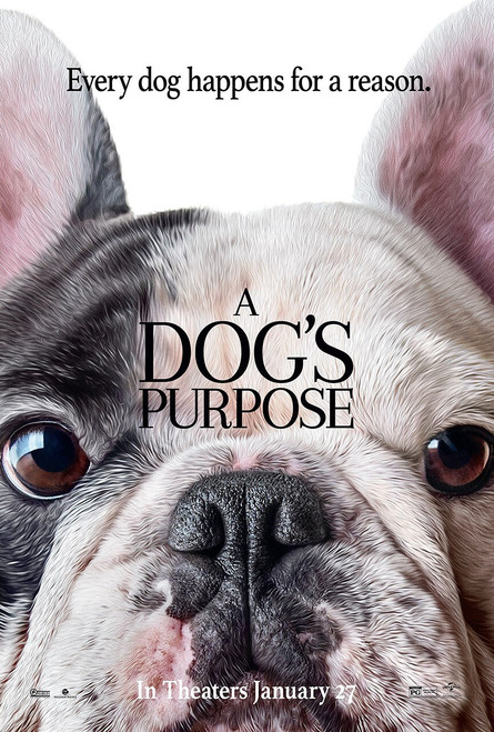 A Dog_s Purpose (2017)_6 Movie Film Poster Canvas iconic design
