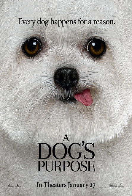 A Dog_s Purpose (2017)_4 Movie Film Poster Canvas iconic design