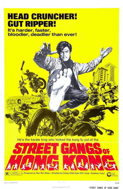 Street Gangs Of Hong Kong 01 Poster Canvas Movie Film Print A0 A1 A2 A3 A4 A5 A6