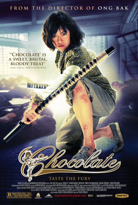 Chocolate (2009)_1 Movie Film Poster Canvas iconic design