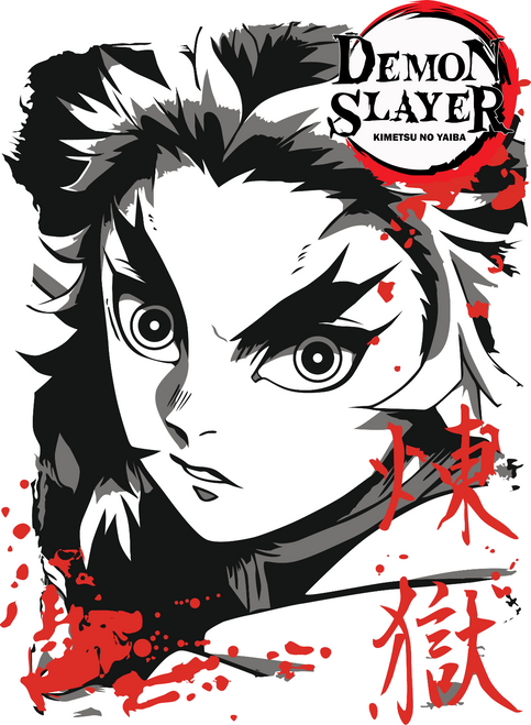 DEMON SLAYER-12 (2) Poster Canvas Movie Film Print A0 A1 A2 A3 A4 A5 A6 Art Wall